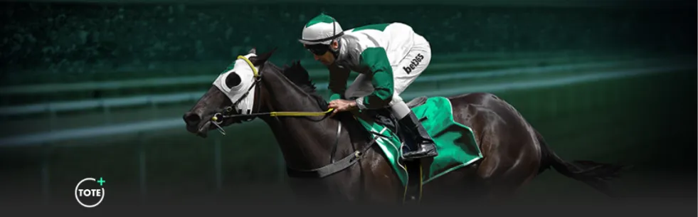 战鹰棋牌团,走进新加坡,校园,万博manbetx体育平台,万博体育官网,万博体育app下载,ManBetX,SPORTS