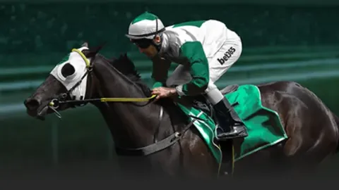 “战鹰棋牌团走进新加坡校园，重现“咬你”经典场景”