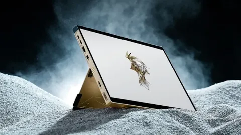 梅西迈阿密国际首战，詹姆斯现场互动热情洋溢